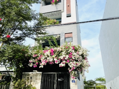 Thiết kế căn hộ cho thuê - 5 tầng tại Đà Nẵng